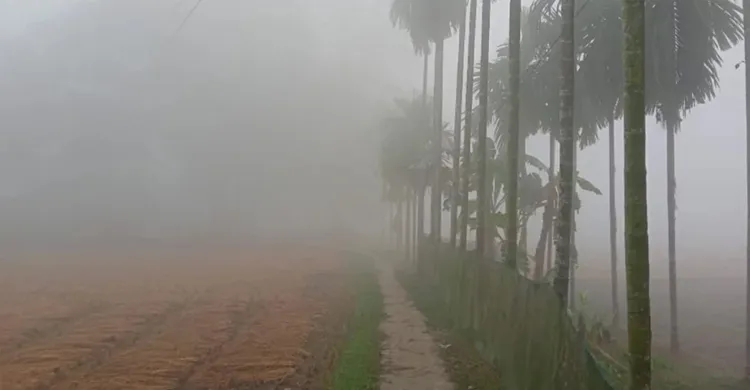 উত্তরাঞ্চলে শীতের আগমন, সারাদেশে শীত আসবে নভেম্বরের শেষে