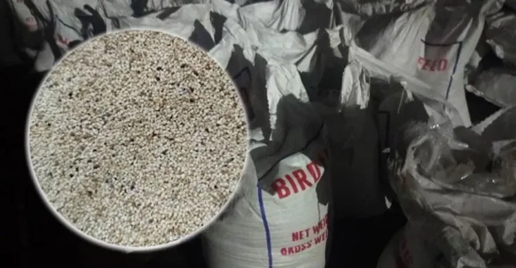 পাখির খাদ্যের আড়ালে পাকিস্তান থেকে এলো আমদানি–নিষিদ্ধ পপি বীজ