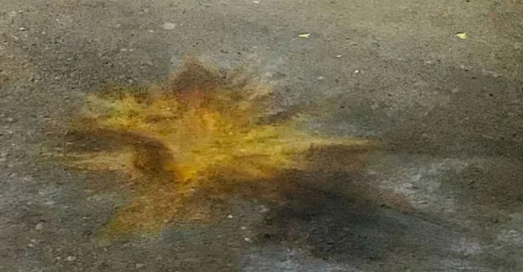 ছবিঃ সংগৃহীত