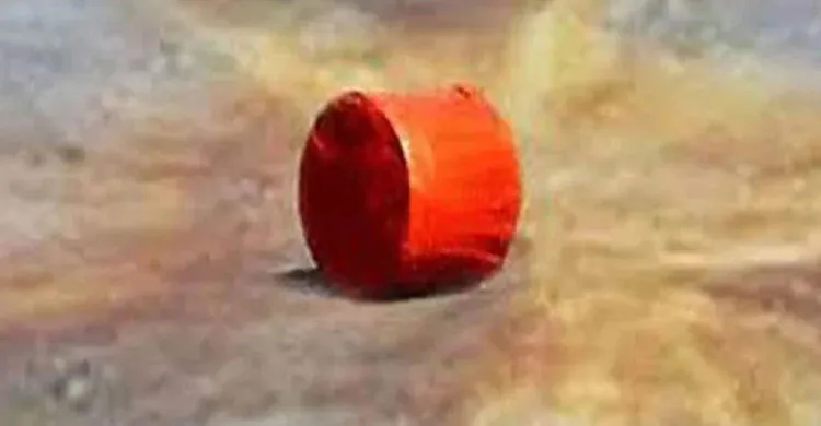 ছবিঃ সংগৃহীত