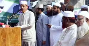 গণভোট না হলে নির্বাচন হবে ২০২৯ সালে: হামিদুর রহমান আযাদ