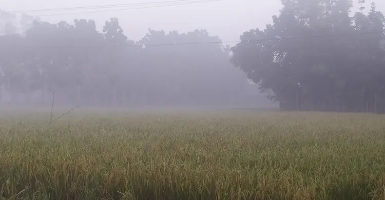 পঞ্চগড়ে বাড়ছে শীতের আমেজ, একদিনে তাপমাত্রা কমলো দুই ডিগ্রি