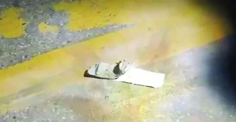 উপদেষ্টা রিজওয়ানা হাসানের বাসার সামনে ককটেল বিস্ফোরণ