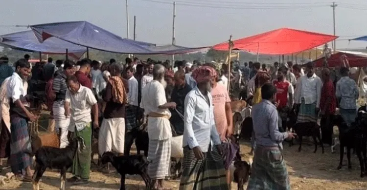 রূপগঞ্জে অবৈধ গরুর হাটের নিয়ন্ত্রণ নিতে বিএনপির দু’গ্রুপের সংঘর্ষ