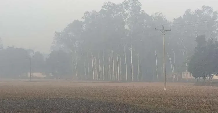 পঞ্চগড়ে শীতের চাপ বাড়ছে, পাঁচ দিন ধরে তাপমাত্রা ১৩ ডিগ্রির ঘরে
