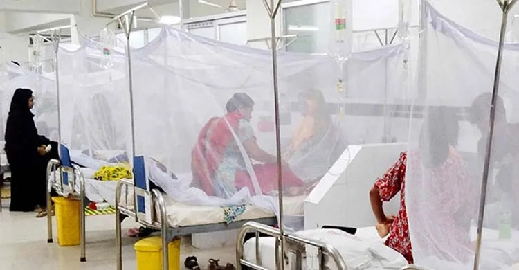 ছবিঃ সংগৃহীত