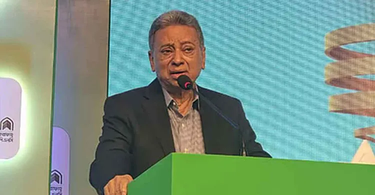 তারেক রহমানের ট্রাভেল ভিসা নিয়ে মন্তব্য আমীর খসরুর