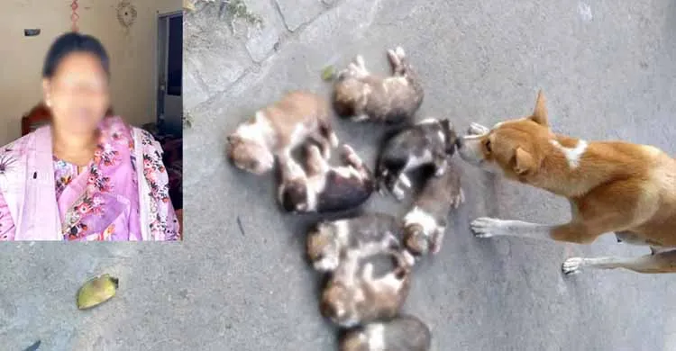 ঈশ্বরদীতে ৮ কুকুরছানা হত্যার অভিযোগে নিশি খাতুন গ্রেপ্তার