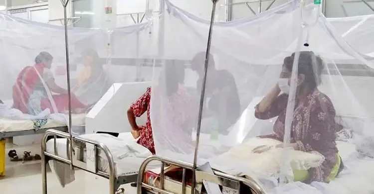 ছবিঃ সংগৃহীত