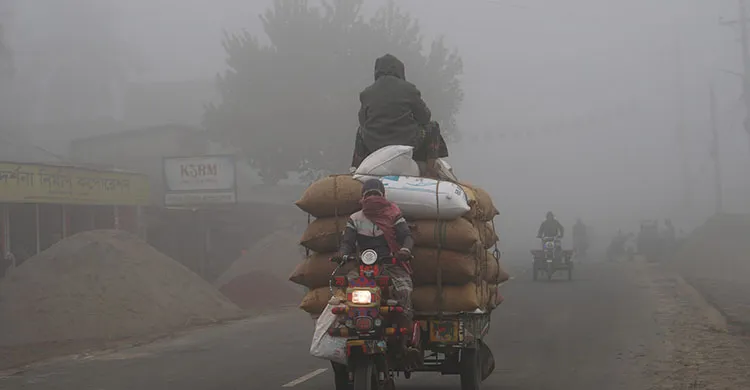 চুয়াডাঙ্গায় বাড়ছে শীতের তীব্রতা, তাপমাত্রা ১২ ডিগ্রির ঘরে