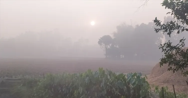 পঞ্চগড়ে শীতের দাপট বাড়ছে, বিপাকে নিম্ন আয়ের মানুষ