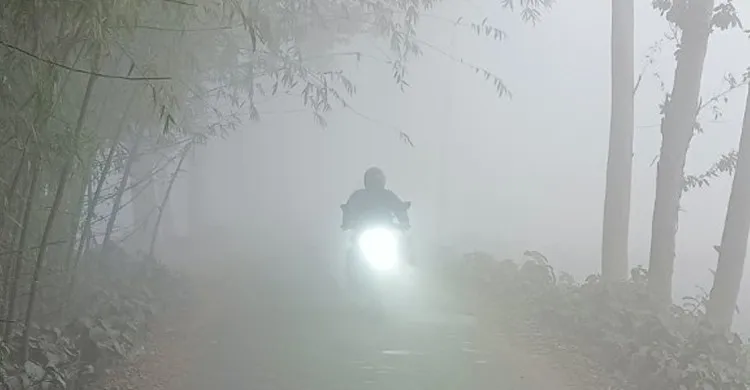 ছবিঃ সংগৃহীত