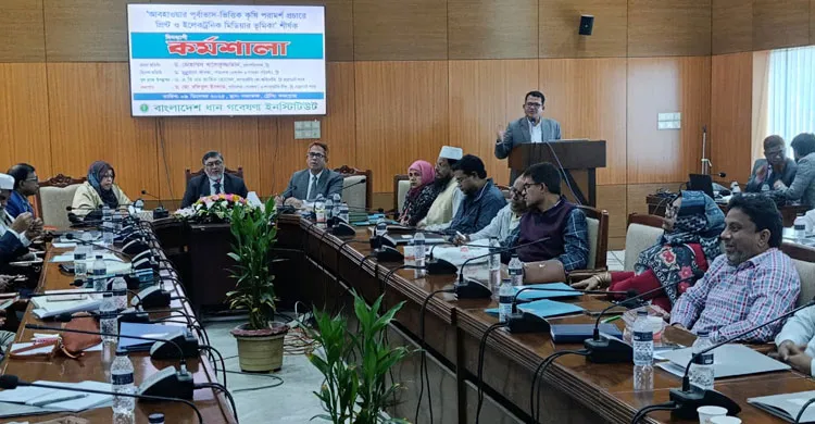 ব্রি’র ১২১টি ধানের জাত উদ্ভাবন