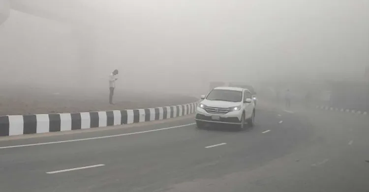 ছবিঃ সংগৃহীত