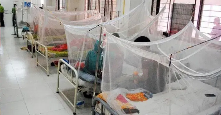 ডেঙ্গুতে ৫ জনের মৃত্যু, হাসপাতালে ৩৮৭