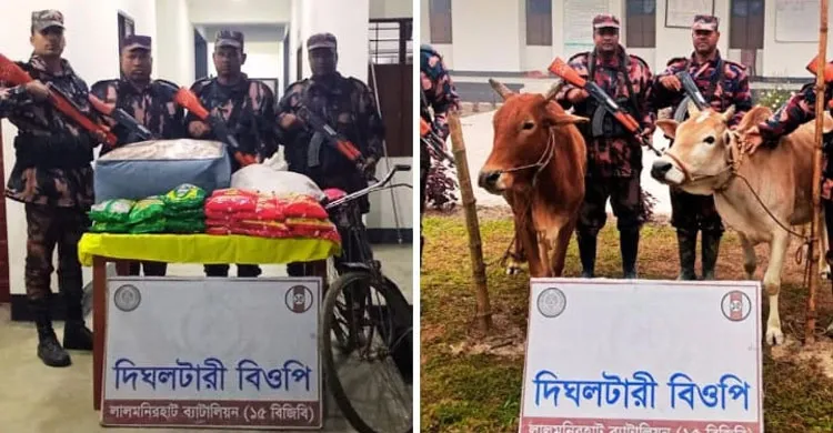 ছবিঃ সংগৃহীত