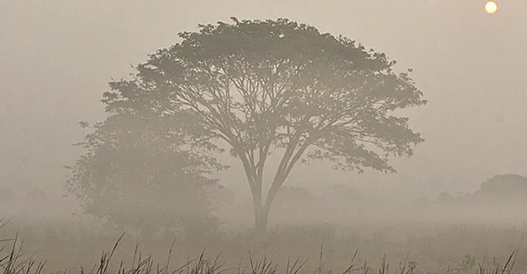 ঘন কুয়াশা ও ঠান্ডায় কাঁপছে দেশ, সর্বনিম্ন তাপমাত্রা  ৮.৮ ডিগ্রি