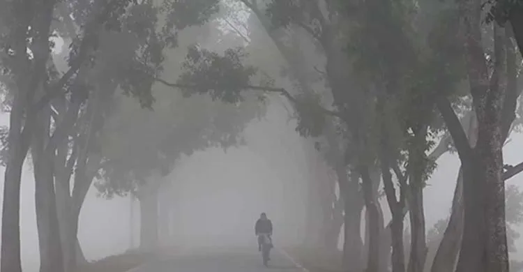 মৃদু শৈত্যপ্রবাহ, শীতে কাঁপছে পঞ্চগড়