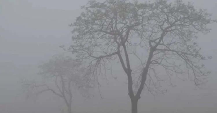 আগামী পাঁচ দিনে শীত ও কুয়াশার প্রভাব অব্যাহত থাকবে