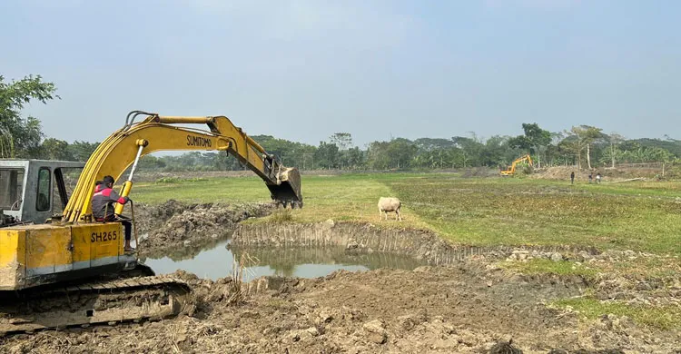 শরীয়তপুরের ডামুড্যায় তিন ফসলি জমি নষ্ট করে মাছের ঘের তৈরি