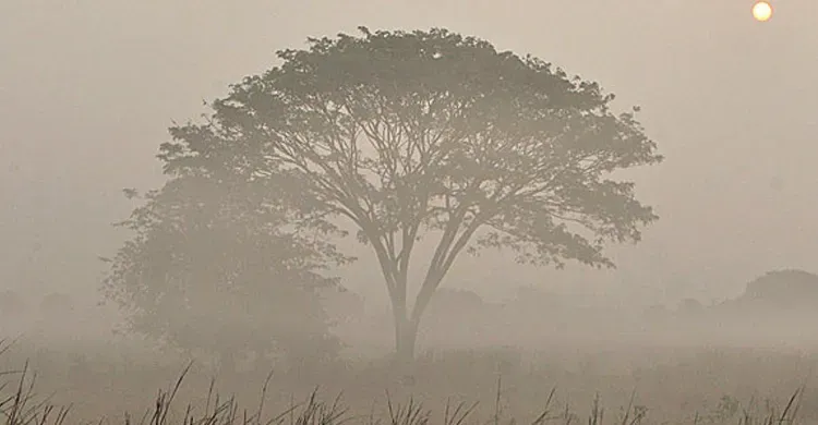 ছবিঃ সংগৃহীত