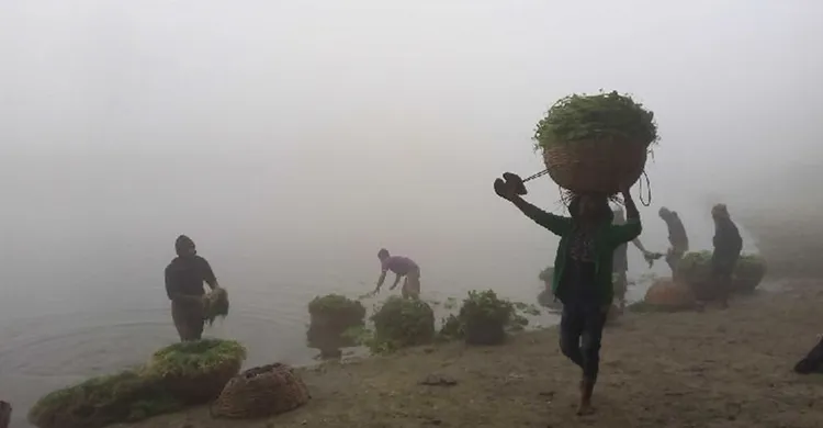 পঞ্চগড়ে তাপমাত্রা ৮ ডিগ্রি, মৃদু শৈত্যপ্রবাহে বিপর্যস্ত জনজীবন