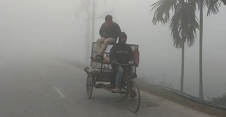 তেঁতুলিয়ায় কুয়াশা ও হিমেল বাতাসে জনজীবনে দুর্ভোগ