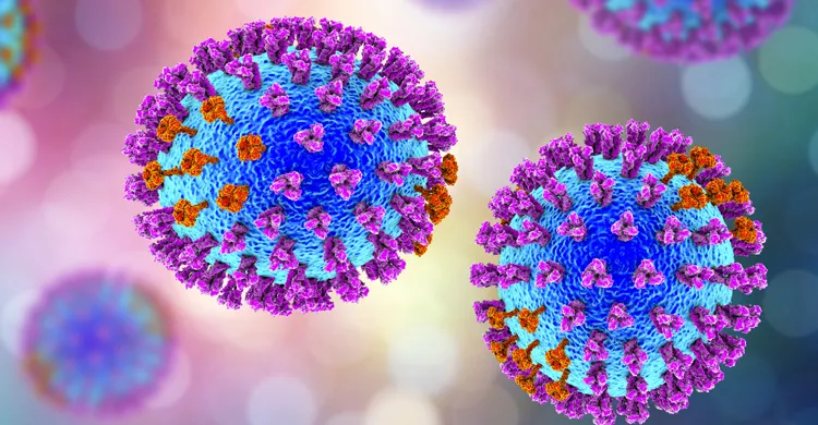 সারাদেশে আতঙ্ক ছড়াচ্ছে প্রাণঘাতী ভাইরাস,  আক্রান্ত হলেই মৃত্যু ঝুঁকি