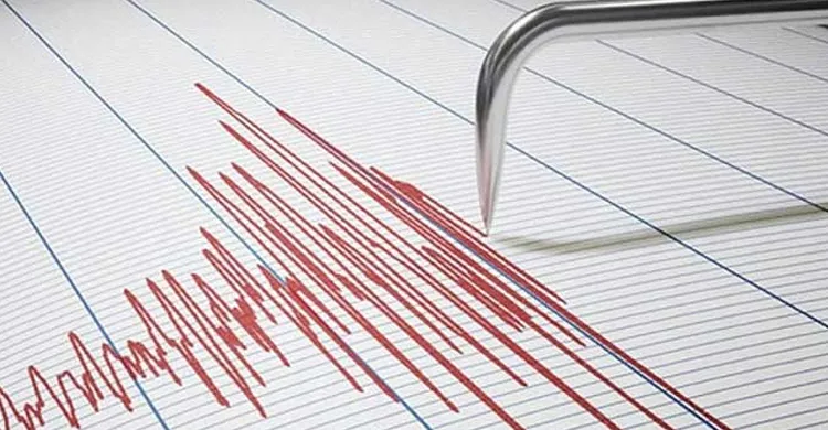 ছবিঃ সংগৃহীত