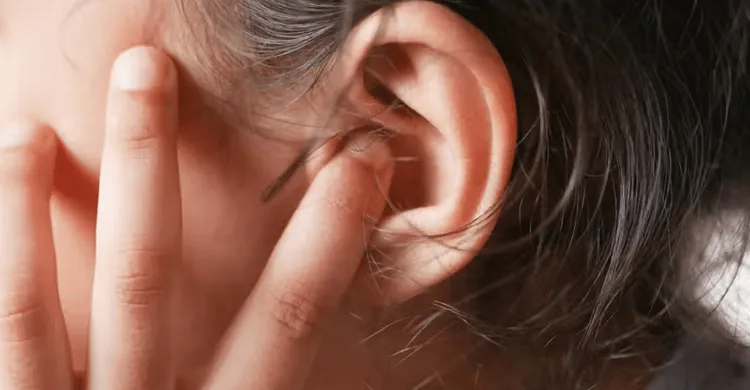 ছবিঃ সংগৃহীত