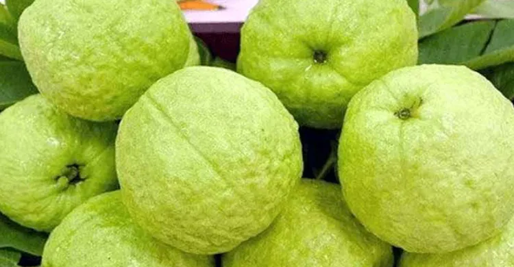 পেয়ারা খোসাসহ নাকি ছাড়া খাবেন? জানুন উপকারিতা ও সতর্কতা