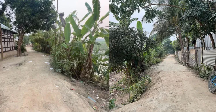 ছবিঃ সংগৃহীত