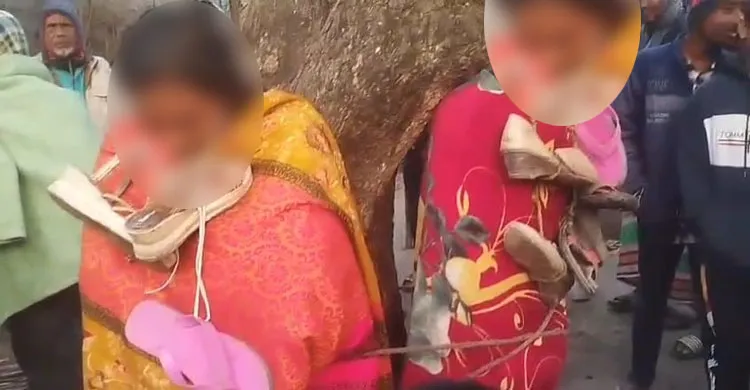 ছবিঃ সংগৃহীত