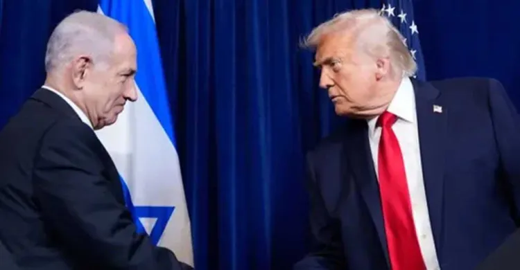 ছবিঃ সংগৃহীত