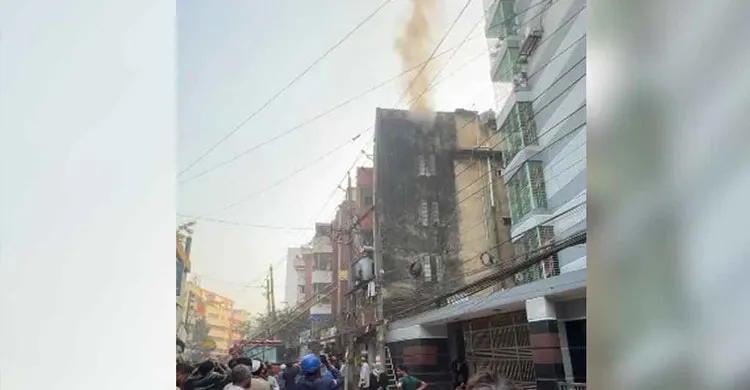 ছবিঃ সংগৃহীত