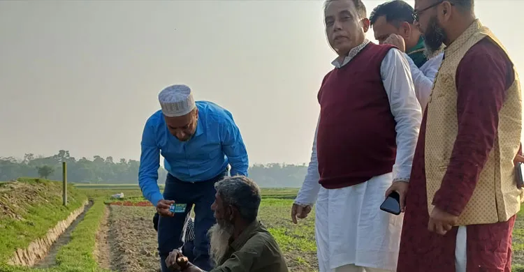 কসবা–আখাউড়ায় আলহাজ্ব কবীর আহমেদ ভূঁইয়ার নেতৃত্বে ফ্যামিলি কার্ড ও কৃষক কার্ড কর্মসূচির ব্যাপক সাড়া