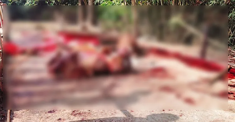 যুবলীগ নেতার বাড়ি থেকে ঘোড়া ও জবাই করা ঘোড়ার মাংস জব্দ