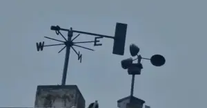 আগামী পাঁচ দিনের পূর্বাভাসে শীত নিয়ে যে বার্তা দিলো আবহাওয়া অধিদপ্তর