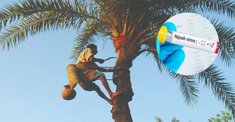 ছবিঃ সংগৃহীত