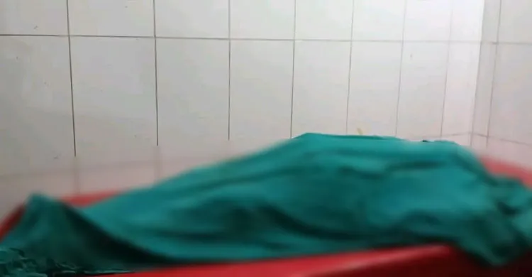 ঝিনাইগাতীতে মোটরসাইকেলের ধাক্কায় বৃদ্ধা নিহত