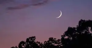 চাঁদ দেখা গেছে, বৃহস্পতিবার থেকে রোজা শুরু