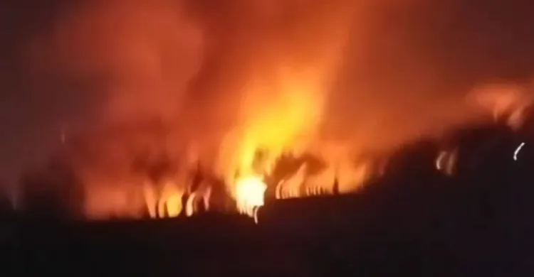 ছবিঃ সংগৃহীত