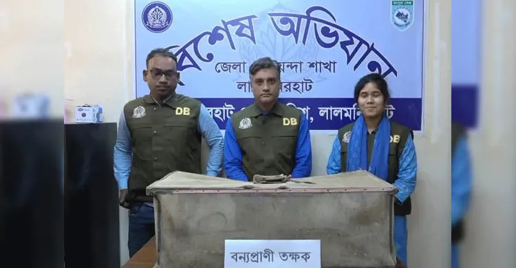 লালমনিরহাটে ডিবির অভিযানে বিলুপ্তপ্রায় তিন তক্ষক উদ্ধার, পাচারের সন্দেহে আইনগত ব্যবস্থা