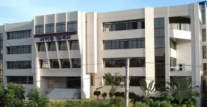 রাজশাহী সিটিসহ ১৪ পৌরসভায় মশা নিধনে স্থায়ী পরিকল্পনা, ১৪ মাসে ডেঙ্গুতে মৃত্যু ২১