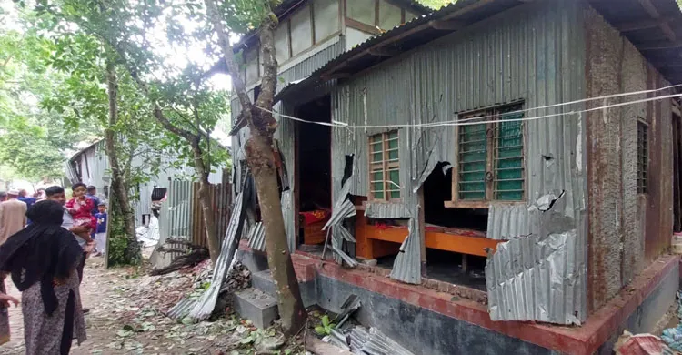 ছবিঃ সংগৃহীত