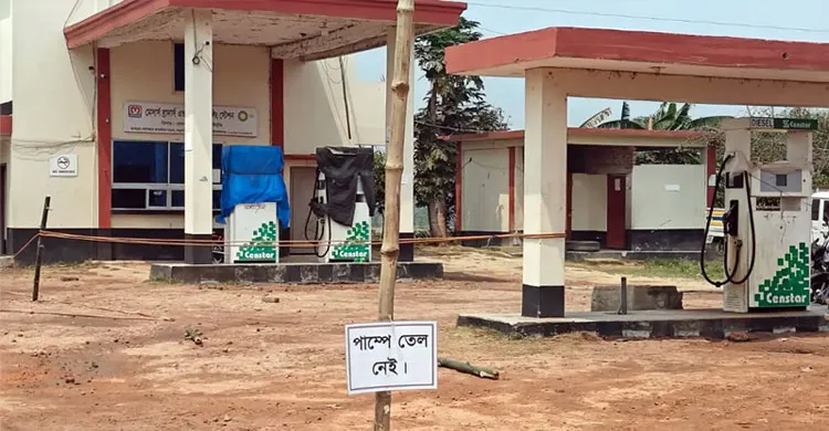 ছবিঃ সংগৃহীত