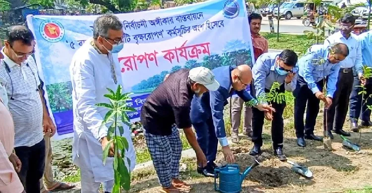 চাঁপাইনবাবগঞ্জে সড়ক ও জনপথের বৃক্ষরোপণ