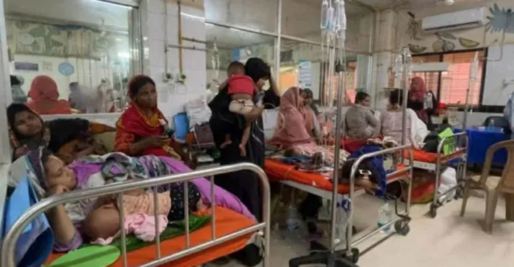 হামে ২৪ ঘণ্টায় ১২ মৃত্যু, নতুন আক্রান্ত প্রায় হাজার