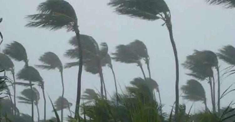 ছবিঃ সংগৃহীত