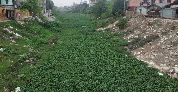 ছবিঃ সংগৃহীত